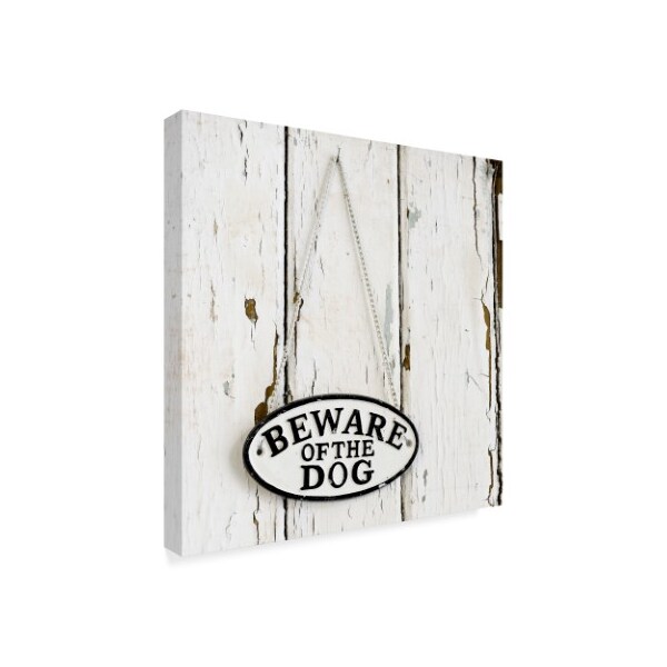 Tom Quartermaine 'Beware Of The Dog Sign On Antique Door' Canvas Art,35x35